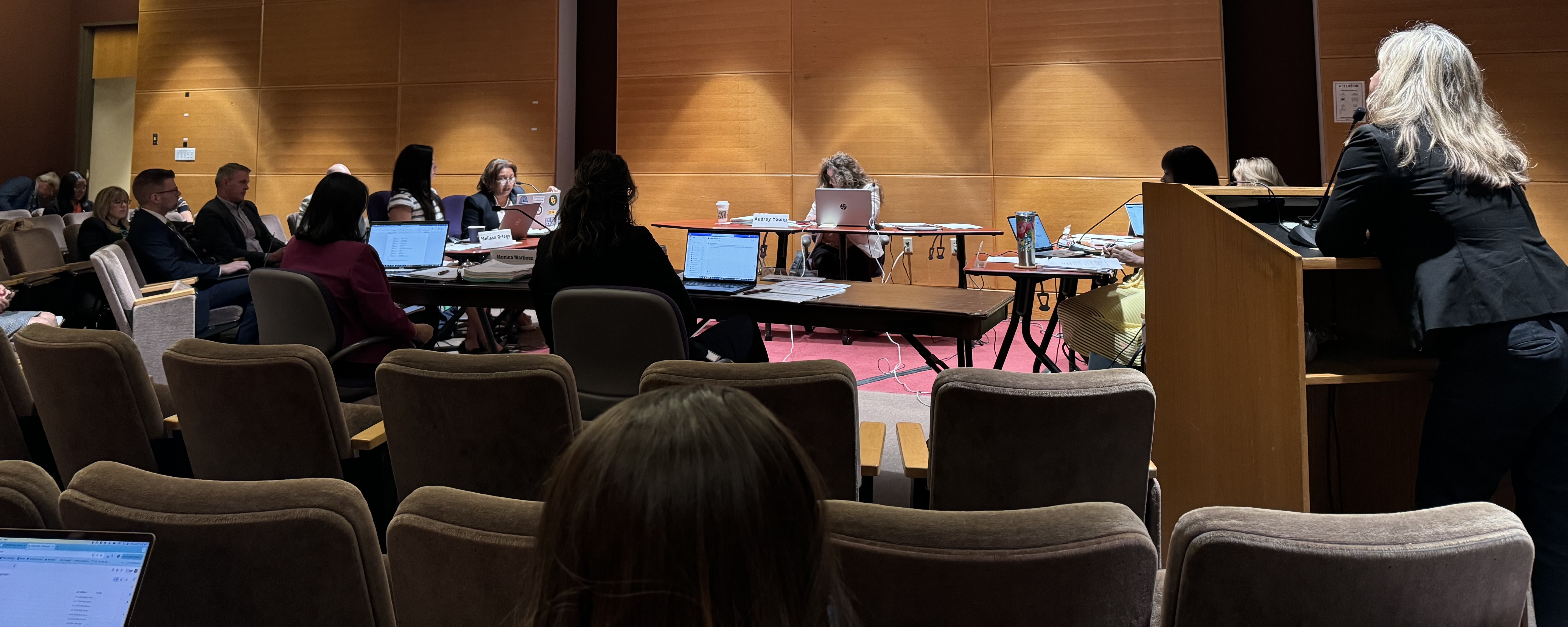 SBOE committees discuss controversial instructional materials and edTPA