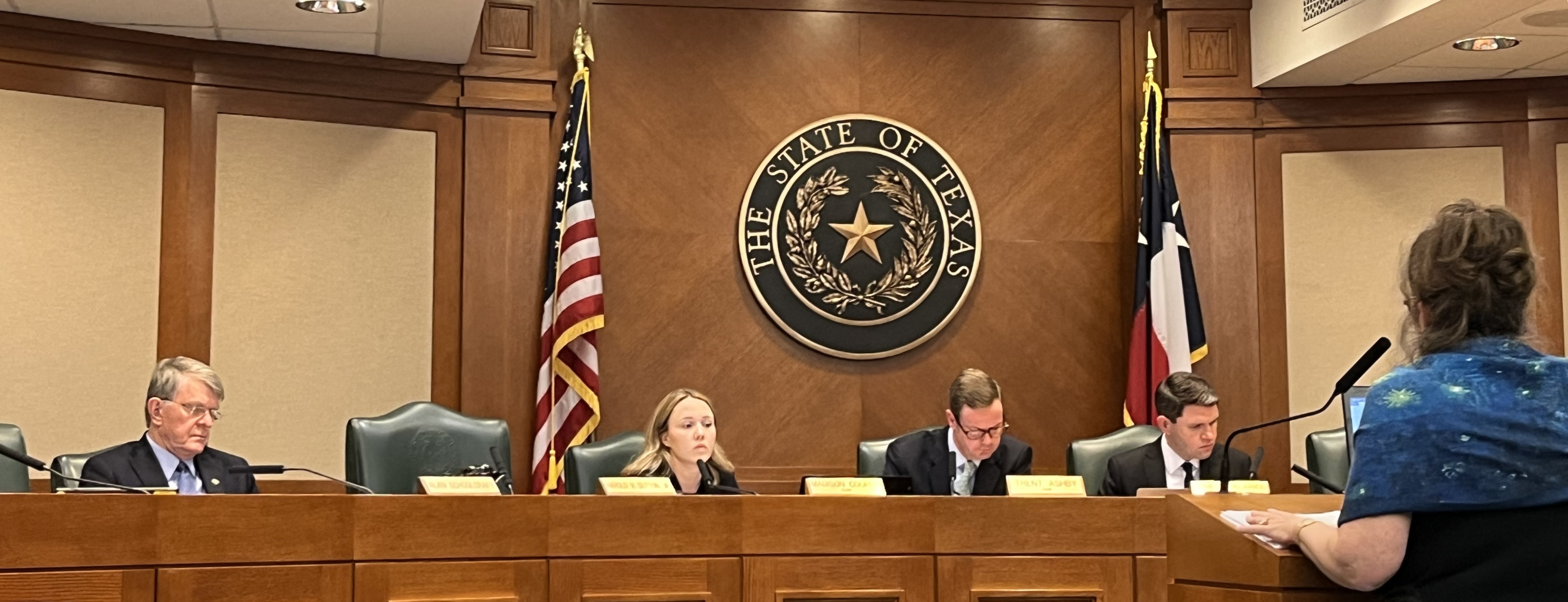 House Public Education Subcommittee hears bills on bilingual education, civics instruction, antisemitism 